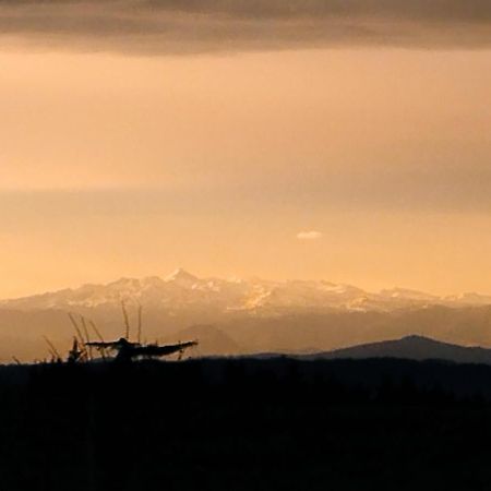 Appartement, Vue Sur Les Pyrenees Pouillon 외부 사진